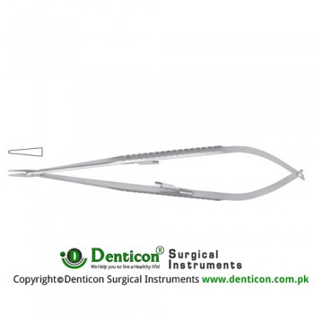 Micro Needle Holder Straight - With Lock Stainless Steel, 21 cm - 8 1/4"